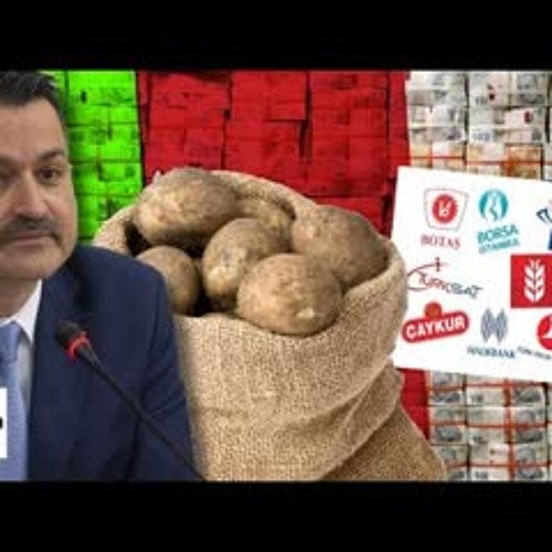 Bold Medya Turkiye Nin Mal Varligi Satiliyor Patates Ithalatini Tarim Bakani Nin Sirketi Yapacak By Bahar Soluklari