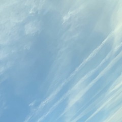 Natural High