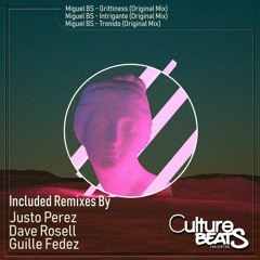 Miguel BS - Intrigante (Justo Perez , Dave Rosell Remix)