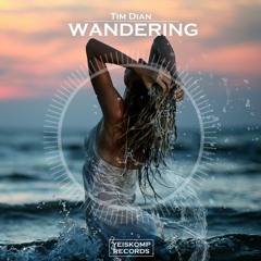 Tim Dian - Wandering (Original Mix) [Yeiskomp Records]