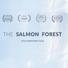 The Salmon Forest OST