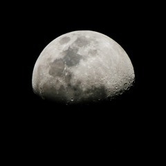 say you don't love me