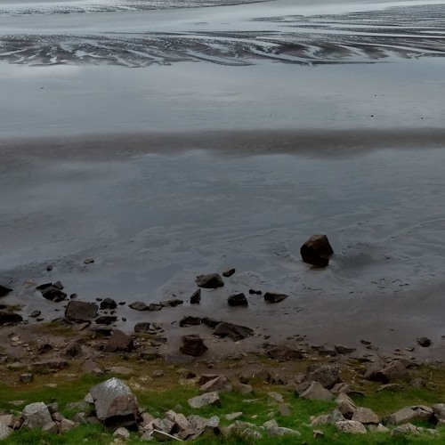 Auðnarblik
