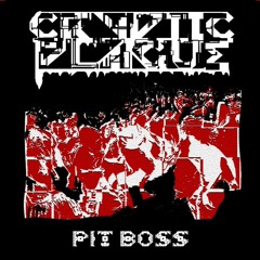 The Pit Boss