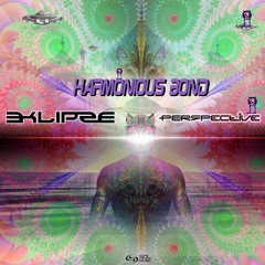 Harmonious Bond (Feat. E-KLIPSE) | [SOL MUSIC] OUT NOW