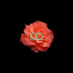 Circle 4 (Feat. Rowdy K) [Bonus Track]