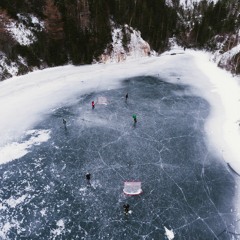 to have every reason