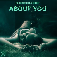 Falko Niestolik & BK Duke - About You (Radio Edit)(SC Snippet)