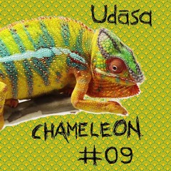 chameleon #09 - Udāsa / उदास - Fariba