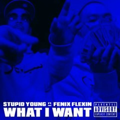 $tupid Young - What I Want Ft. Fenix Flexin (Official Audio)