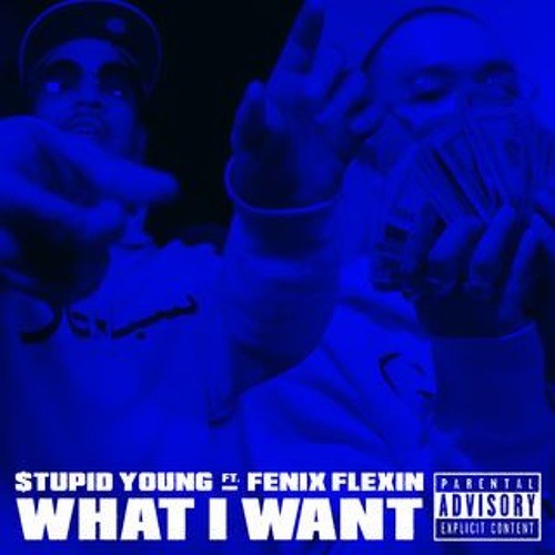 $tupid Young - What I Want Ft. Fenix Flexin (Official Audio)