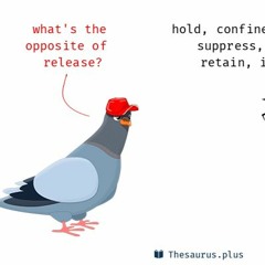 Release! - Blue Universe