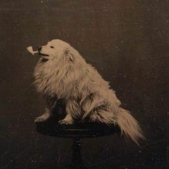 Temporarily Obscured