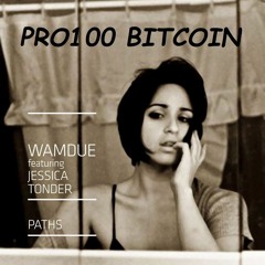 Wamdue Project feat. Jessica Tonder – Paths (Album Version)