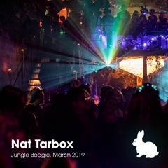 Nat Tarbox @ Thumper Presents: Jungle Boogie (March 09 2019)