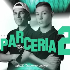 MEGA - PARCERIA 2 (DJ DIGUINHO & DJ GUSTAVO H) CVHT