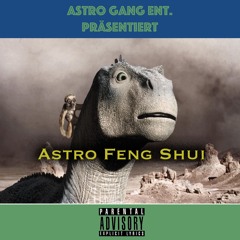 Astro Feng Shui - Astro Gang Ent.