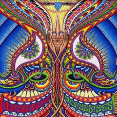 DougNug B2B Levitate