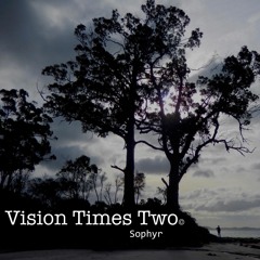Vision Times Two