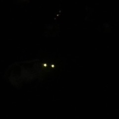 Torch Feat. Mawsor (prod. Bleach)