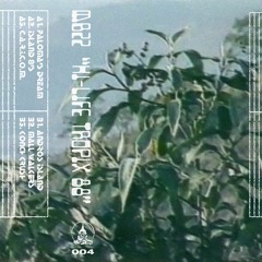 *Premiere* MB22 - Paloma's Dream (Dream Mix)