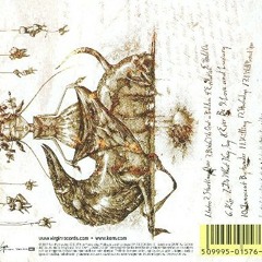 korn, innocent bystander