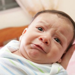 Cleisero - (free bb)