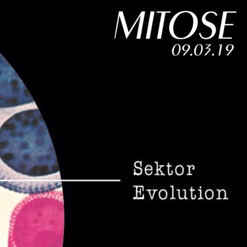 09 03 19 MITOSE | SEKTOR EVOLUTION