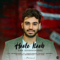 Sina Derakhshande - Hale Naab
