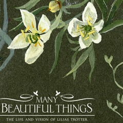 Many Beautiful Things ( Original Soundtrack )- Sleeping at last