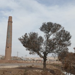 محلی افغانی