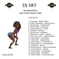 DJ SBT #Musikanzwa Zim Dancehall Mix | @DJ_SBTUK (2019)