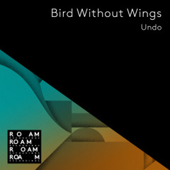 PREMIERE | Undo - Bird Without Wings (Rigopolar Remix) [Roam Recordings] 2019