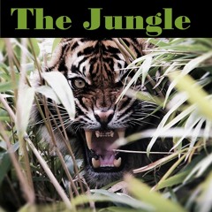 [Free] Hard Reggaeton x Afrotrap x Brazil Funk Type Beat "The Jungle 🐯" (2019)