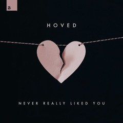 Hoved - Never Really Liked You