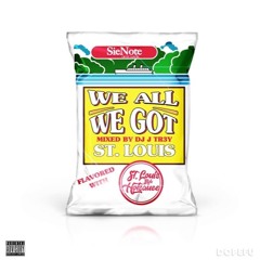 WE ALL WE GOT 2 #314MIX CURATED BY @NOPussBoys_