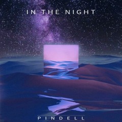 Pindell - In The Night