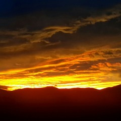 Not Alone - Patty Griffin