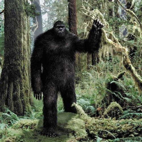 Stream Bigfoot Is An Interdimensional Traveler V1 by Stenka Razin