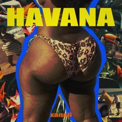 J Balvin x Daddy Yankee - Havana ft. David Guetta (reggaeton type beat prod. xanaji)