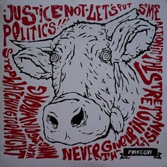 Pinkcow - Luisita's Cry