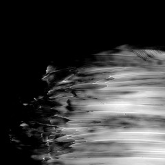 Monochrome (w/ Sya Sya)