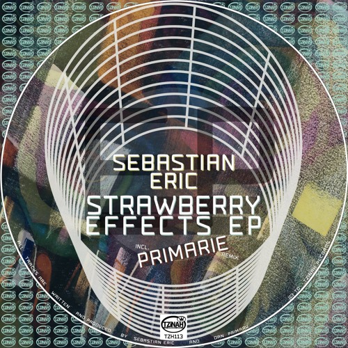 Sebastian Eric - Not This Time (Primarie Remix) Preview