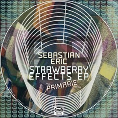 Sebastian Eric - Not This Time (Original Mix) Preview