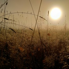 Johann Sebastian Bach - Bist du bei mir (Piano, Ilari Edelmann)