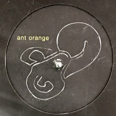pusic records ant orange ep