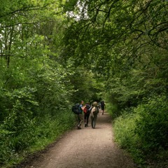 BBC Radio 4: Turtle Dove Pilgrimage (Sam Lee & Will Parsons)