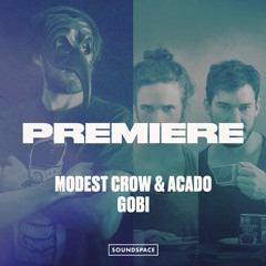 Premiere: Modest Crow & Acado - Gobi [Motek]