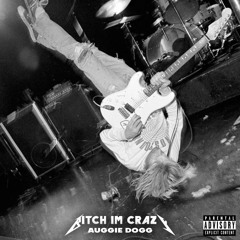Bitch Im Crazy [prod. BTGrin]