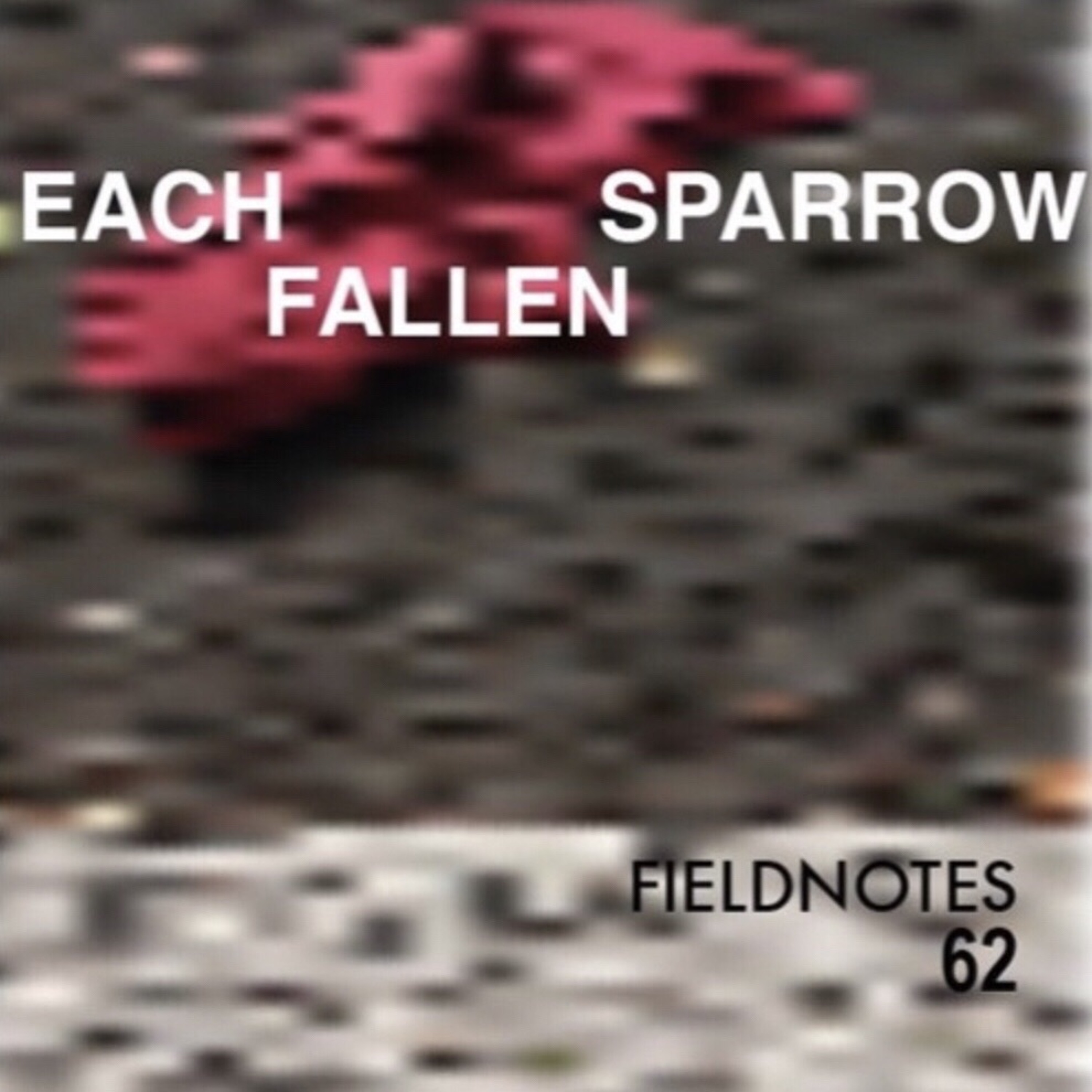 fieldnotes62